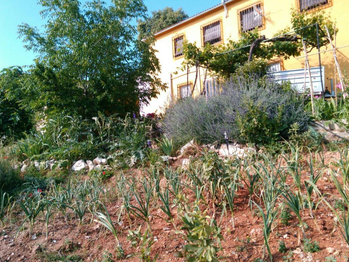 Cortijo De La Cruz Villa Iznajar Exterior photo